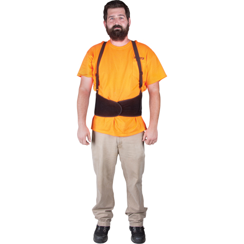 Back Support, Elastic, Small Nassau Supply