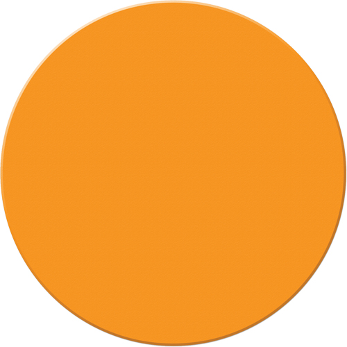 Marqueurs all&eacute;g&eacute;e/5S Armor Stripe, Cercle, 6" lo x 6" la, Orange, Plastique Nassau Supply