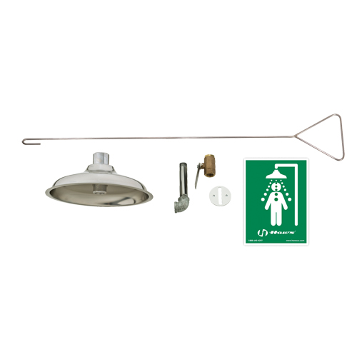 Concealed Drench Shower, Ceiling-Mount Nassau Supply