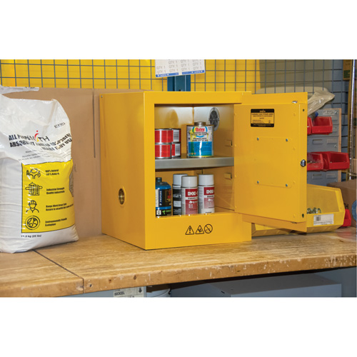 Flammable Storage Cabinet, 4 gal., 1 Door, 17" W x 22" H x 18" D Nassau Supply