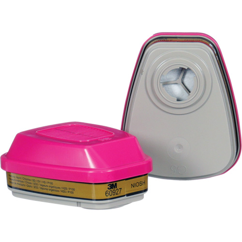 Cartridge, Combination Gas/Vapour Cartridge and Particulate Filter, Multi-Gas/Vapour/P100 Nassau Supply