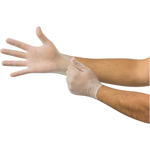Gants jetables Derma Free MICROFLEX DF-850, 7.5/8/Moyen, Vinyle, 3,1 mils/3,5 mils, Sans poudre, Transparent, Classe 2 Nassau Supply