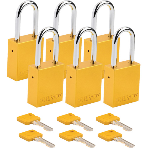 Cadenas de s&eacute;curit&eacute;, Cadenas de s&eacute;curit&eacute;, Cl&eacute;s diff&eacute;rentes, Aluminium, Largeur de 1-1/2" Nassau Supply