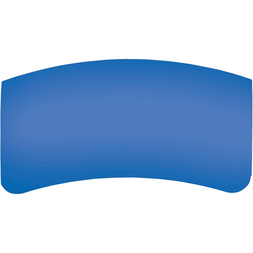 Bullard GenVX PETG Outer Lens Nassau Supply