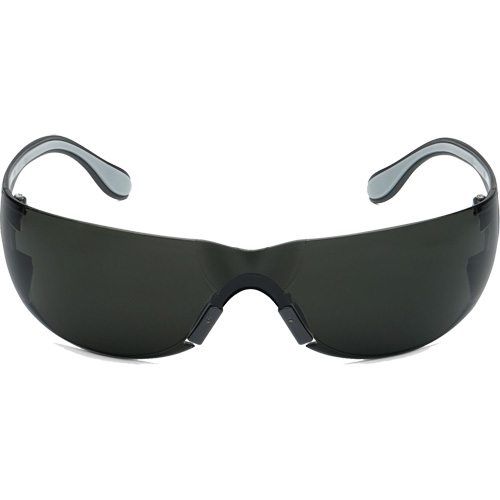 Lunettes de s&eacute;curit&eacute; Adapt Lite, Lentille Fum&eacute;e, Antibu&eacute;e/Anti-&eacute;gratignures, ANSI Z87+/R&eacute;pond ou surpasse la norme CSA Z94.3 Nassau Supply