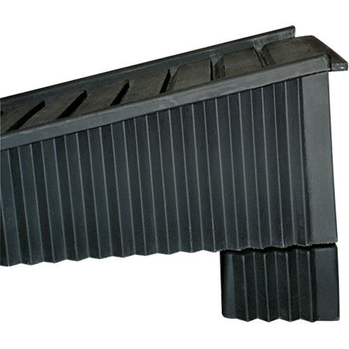 Rallonge pour rampe Nassau Supply