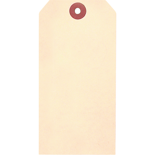 &eacute;tiquettes vierges en papier cartonn&eacute; de manille, Papier cartonn&eacute;, 3-1/8" la x 6-1/4" h Nassau Supply