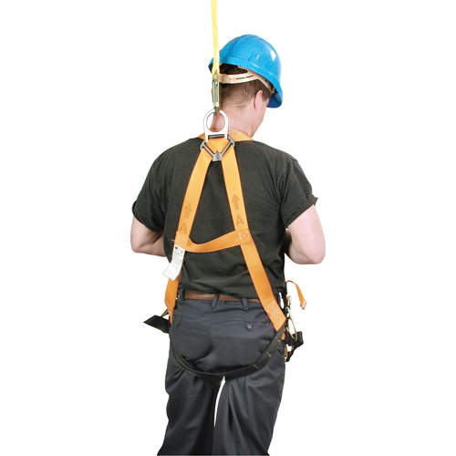 Harnais d'entrepreneur Titan de Miller, Certifi&eacute;e CSA, Classe AP, Cap. 400 lb Nassau Supply