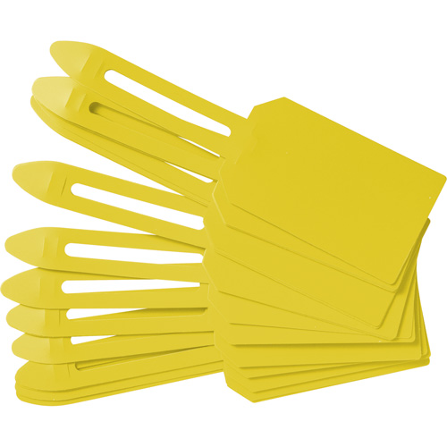 Blank Plastic Lock-On Tags, Plastic, 3-1/4" W x 5-4/5" H, Blank Nassau Supply