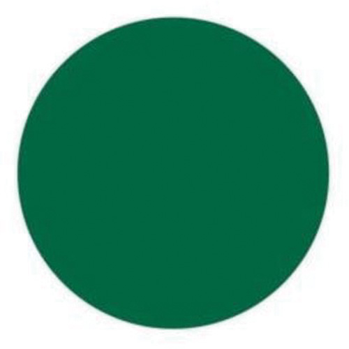 Round Write-On Labels, Circle, 1.5" L x 1.5" W, Green Nassau Supply
