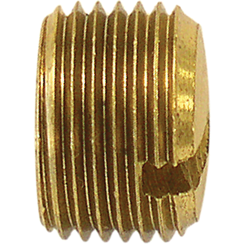 Pipe Plug (Slotted), 1/8" Dia., Brass Nassau Supply