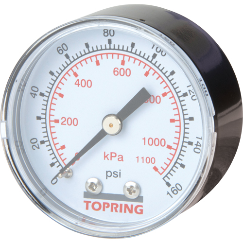 Mini Regulators - Replacement Gauge, 2" , 0 - 160 psi, Back Mount, Analogue Nassau Supply
