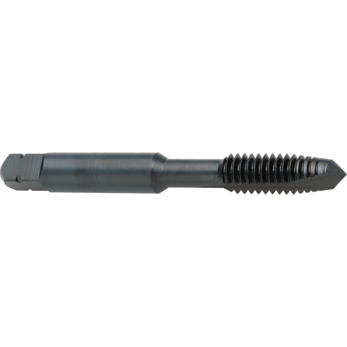 Spiral Point Tap, High Speed Cobalt, 8-32 Thread, 2-1/8" L Nassau Supply