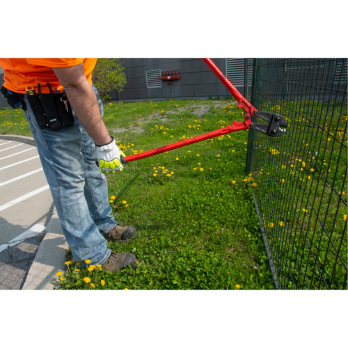 Coupe-Boulons, 14" l, Coupe centrale Nassau Supply