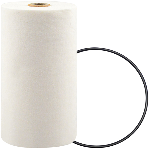 P7247 Spin-On Coolant Filter with BTE Formula Nassau Supply