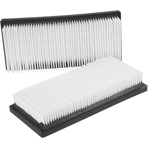 Filtres plats principaux, Cartouche, Pour 12 gal. US Nassau Supply