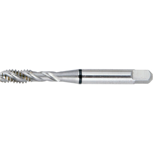 Taraud BT super haute performance &agrave; cannelure spiral&eacute;e DRILLCO, Acier rapide, Filet de 1/4"-20, 2-1/2" l Nassau Supply