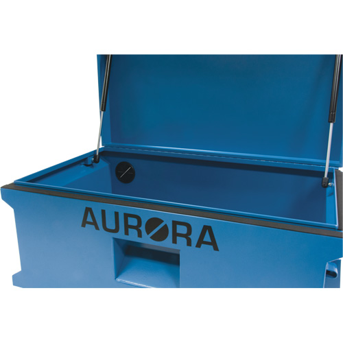 Coffre &agrave; outils de chantier, 33" x 20-3/10" x 18-3/10", Acier, Bleu Nassau Supply