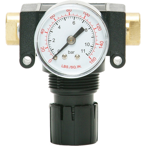 MODULAIR 200 Acetal Piston Regulator, 1/4" NPT, 150 PSI Max. PSI, In Line/Modular Nassau Supply