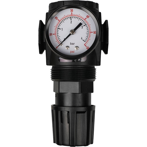 MODULAIR 300 Compressed Air Regulator, 1/2" NPT, 300 psi Max. PSI, In Line/Modular Nassau Supply