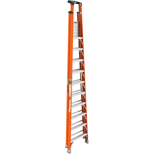 Safespace Platform Step Ladder, 10', 300 lbs. Cap. Nassau Supply