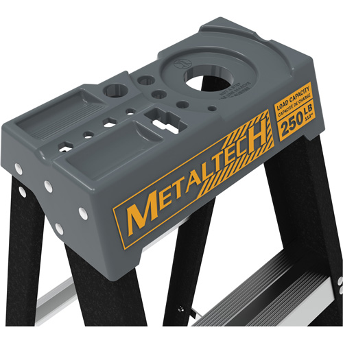 Escabeau avec plateau &agrave; peinture, 6', Fibre de verre, Capacit&eacute; 250 lb, Type 1 Nassau Supply