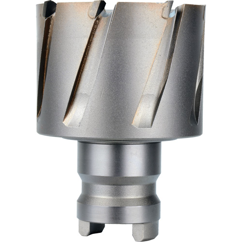 Fraise avec tenon &agrave; changement rapide Drive Hawg, Diam&egrave;tre de 2", Acier, Profondeur de la coupe de 1" Nassau Supply