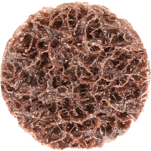 Disque de conditionnement de surface &agrave; remplacement rapide Standard Abrasives, 3/4" dia., Grain Cors&eacute;, Oxyde d'aluminium Nassau Supply