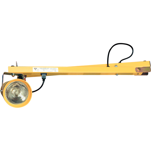 Lampes pour les quais, Bras 40", Ampoule Incandescente, Polycarbonate Nassau Supply