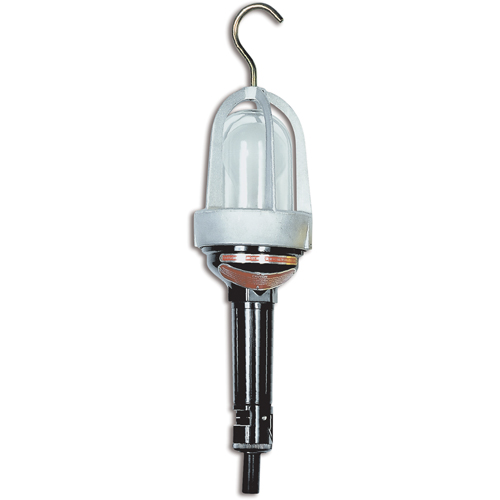 Baladeuses pour emplacements dangereux, DEL, 20 W, 2400 Lumens Nassau Supply