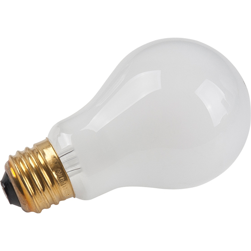 Economy Line Incandescent Lamps Nassau Supply