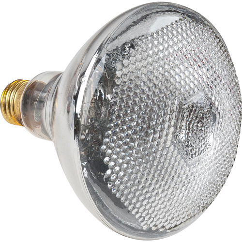 Economy Line Incandescent Lamps Nassau Supply