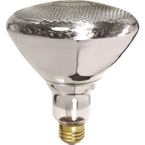 Economy Line Incandescent Lamps Nassau Supply