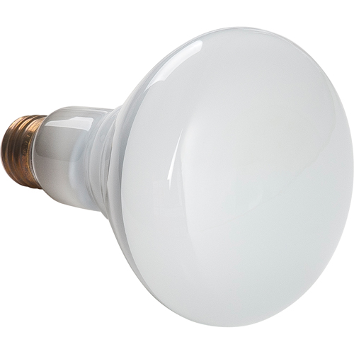 Economy Line Incandescent Lamps Nassau Supply