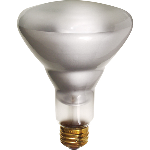 Economy Line Incandescent Lamps Nassau Supply
