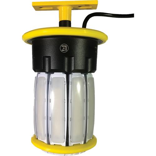 Projecteur pour chantier portatif Beacon360 Blaze, DEL, 100 W, 14300 lumens, Boîtier en Aluminium Nassau Supply