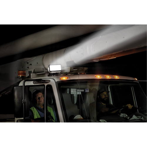 Projecteur orientable polyvalent &agrave; t&eacute;l&eacute;commande, DEL, 4250 lumens Nassau Supply