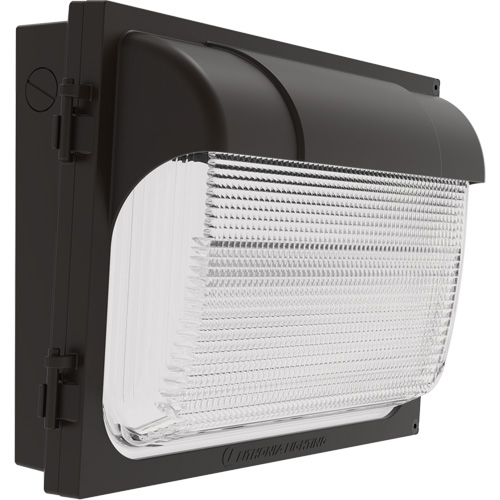 TWX Wall Luminaire, LED, 480 V, 9 W - 54 W, 14" H x 18" W x 5" D Nassau Supply