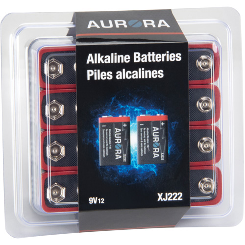 Piles alcalines industrielles, 9 V Nassau Supply