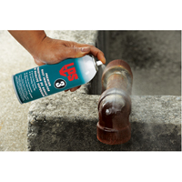 3&reg; Premier Rust Inhibitor, Aerosol Can Nassau Supply