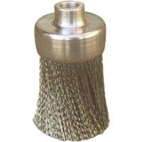 Brosses plates, rondes ou Roto Nassau Supply