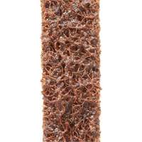 Courroies de traitement des surfaces Scotch-Brite Nassau Supply