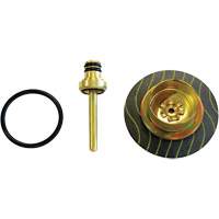 Filter/Regulator - Relieving Diaphragm & Valve Assembly Nassau Supply