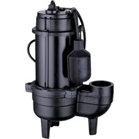 Cast Iron Sewage Pump, 120 V, 10 A, 6400 GPH, 3/4 HP DC849 | Nassau Supply