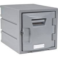 Locker, 12" x 15" x 12", Grey, Assembled FH725 | Nassau Supply