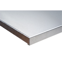 304 Stainless Steel Wood-Filled Workbench Tops, 36" D x 96" W, 1-3/4" Thick FI279 | Nassau Supply