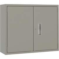 Armoire murale, Acier, 2 Tablettes, 30" h x 36" la x 12" P, Gris Nassau Supply