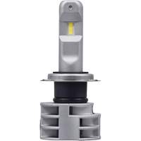 H7 Headlight Bulb FLT995 | Nassau Supply