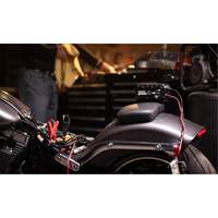 Genius&reg; 10 10-Amp Battery Charger Nassau Supply