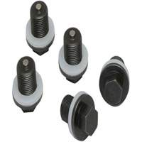 Set of 5 Plugs & Gaskets  Nassau Supply